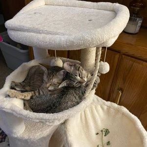 Meet your Posher, Barb